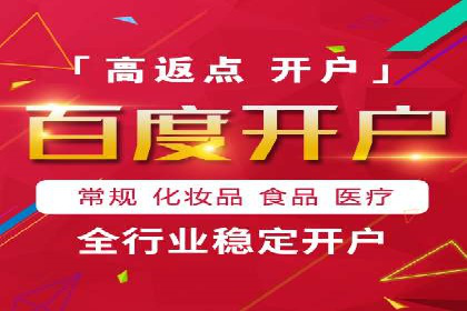 某电商平台的SEM策略与效果展示